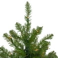 thumbnail image 5 of Northlight Pre-Lit Full Northern Pine Artificial Commercial Christmas Tree - 14' - Clear Lights, 5 of 7