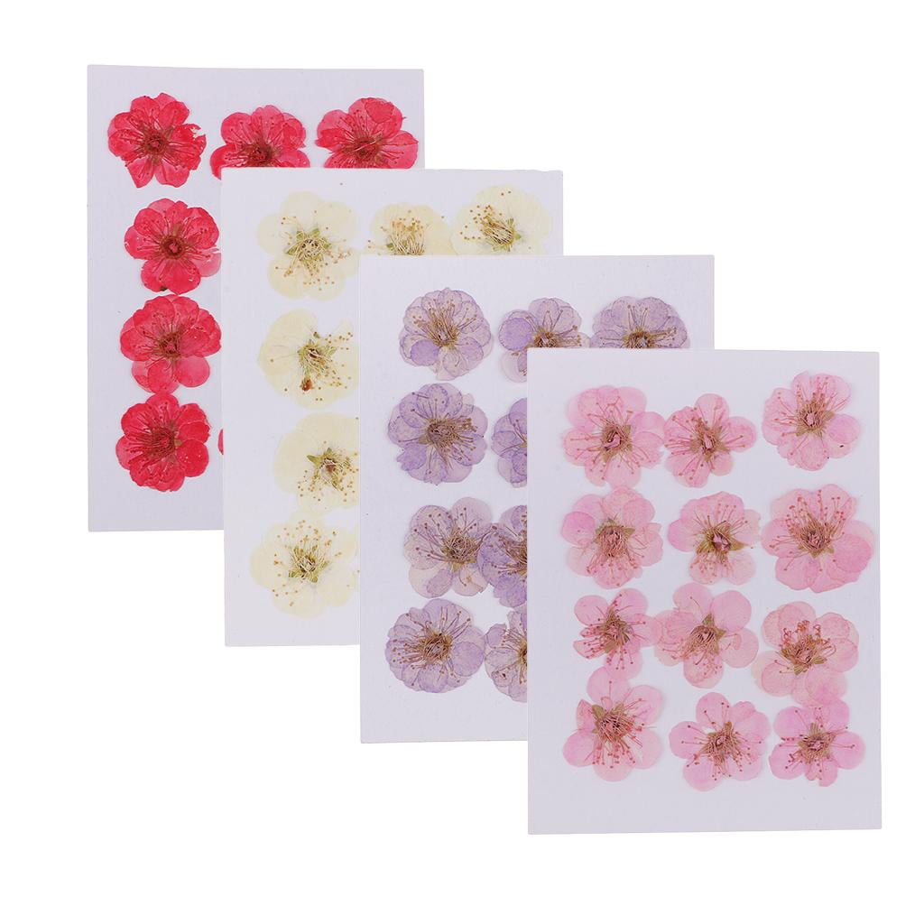 HEISENLIN Dried Pressed Flowers For Resin, 60Pcs Pink Real Pressed Dried  Little Plum Blossom Flower With Tweezers For Scrapbooking Diy Can