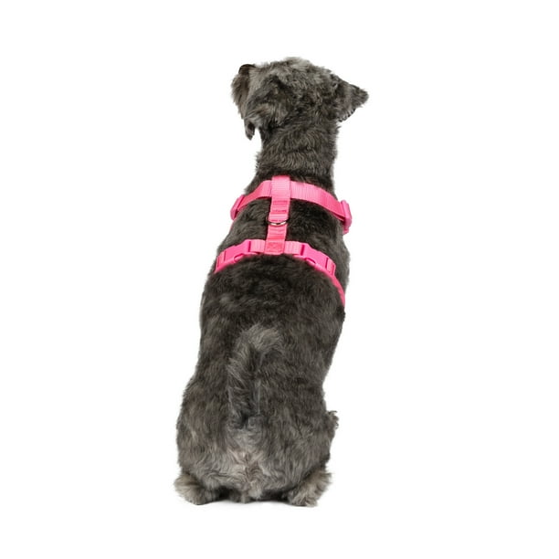 DOG Dog Bone Seatbelt Buckle Collar - Cheetah/Stars Tan/Black