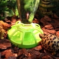 thumbnail image 6 of Reptile Feeder Food Water Bowl Aquarium Ornaments Terrarium Dish for Turtle- Food and Water Bowl with Fence, 6 of 12