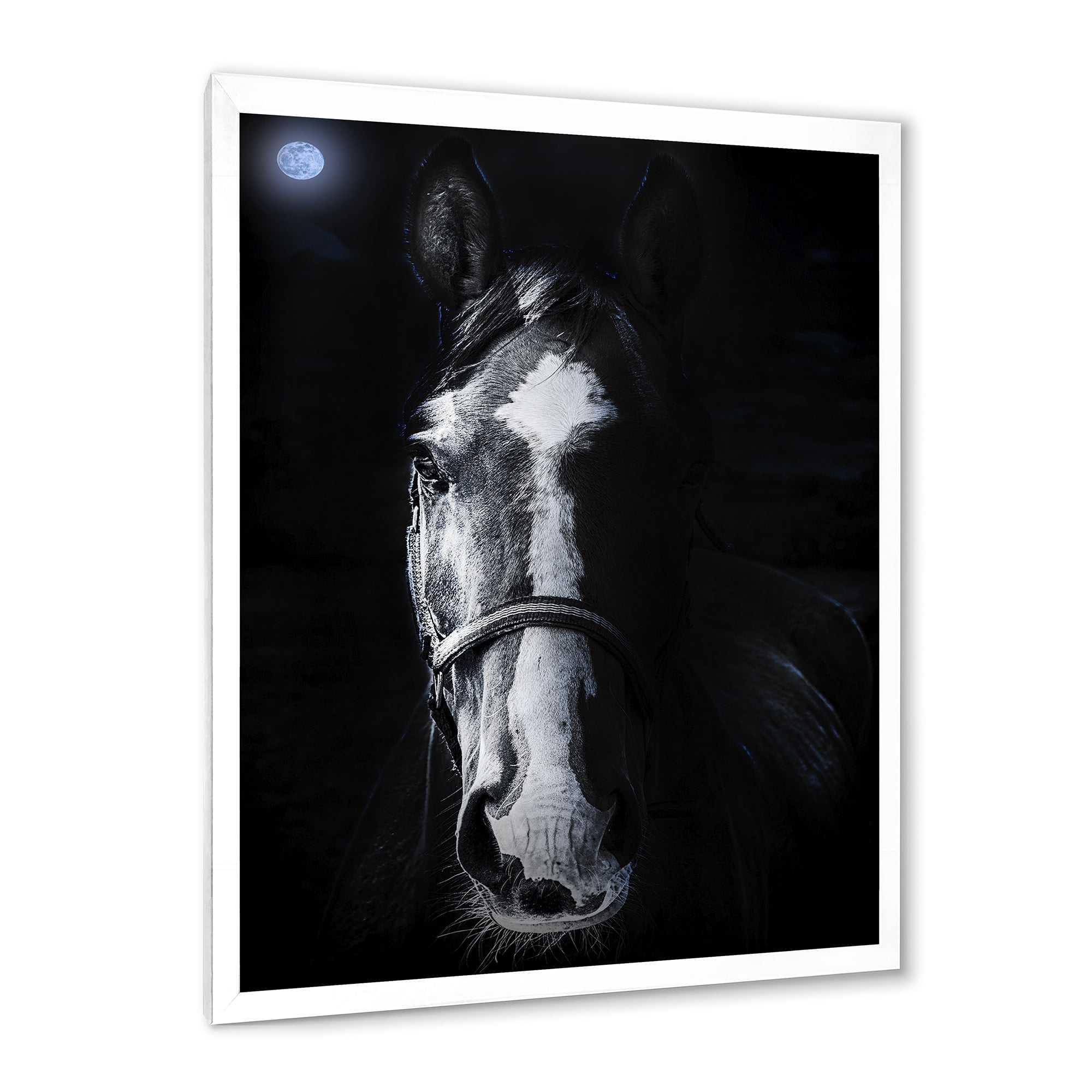 Portrait of Horse Staring Sinister 16 in x 32 in Framed Photography Canvas Art Print, by Designart