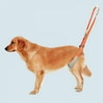 thumbnail image 3 of POINTERTECK Pet Dog Lift Harness Pet Rear Legs Support Aid Sling For Elderly Dog With Poor Stability  Back Leg Hip Disabled Joint Injury, 3 of 6