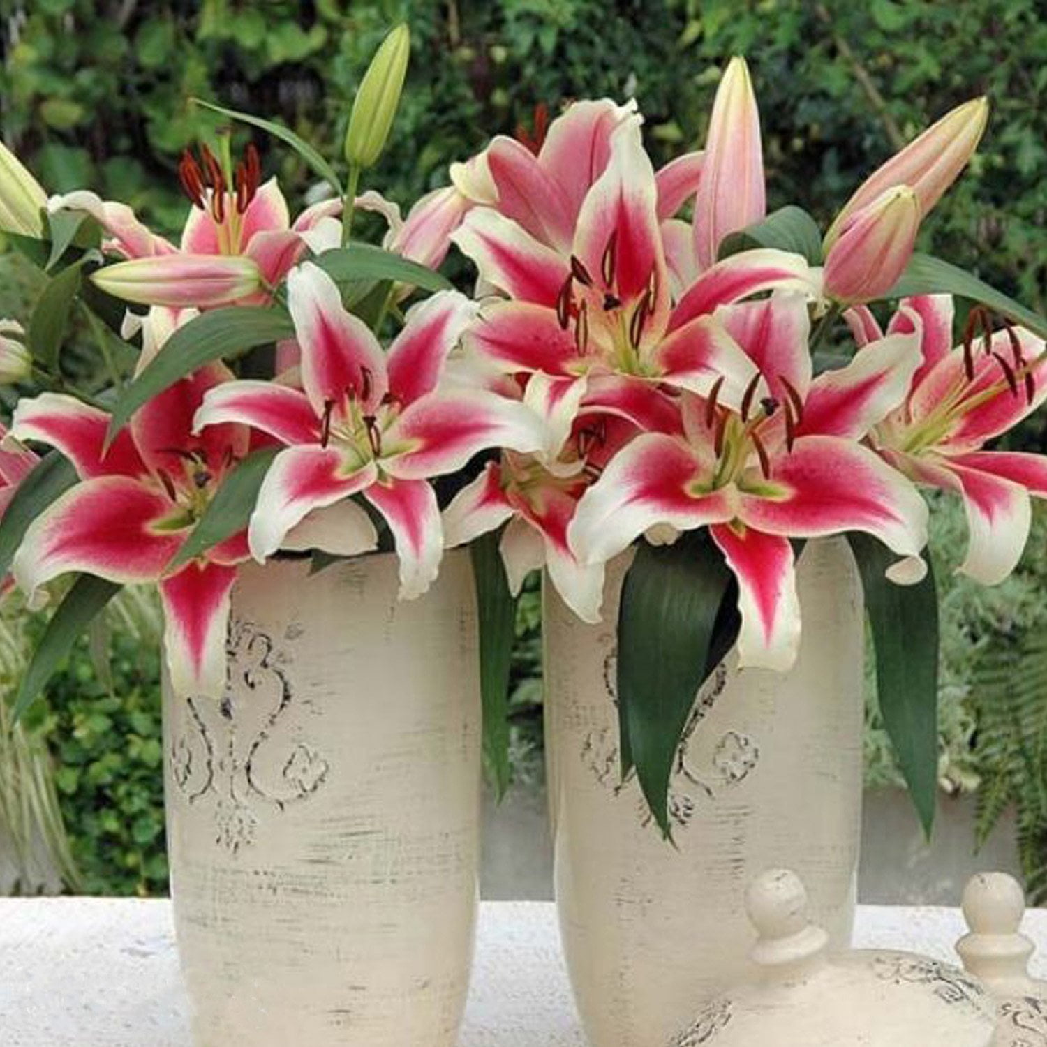 八木麻子さん　laying flower Member's Mark Super Select Oriental Lily, 5 stems - Samsclub.com