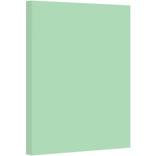 Pacon® Pastel Card Stock, 5 Assorted Colors, 8-1/2 X 11, 100 Sheets Per  Pack, 2 Packs : Target