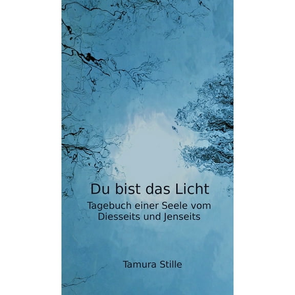 Du bist das Licht: Tagebuch einer Seele vom Diesseits und Jenseits (Hardcover)