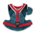 thumbnail image 4 of Easton Jen Schro The Fundamental Fastpitch Softball Catchers Box Set, Small, Red, 4 of 6