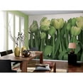 thumbnail image 2 of Komar Tulips Wall Mural, 100.8-in by 145.2-in, 101.64 sq. ft., 2 of 2