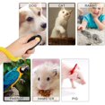 thumbnail image 5 of Clicker para perros, entrenamiento canino, clicker de dedo, entrenamiento con clicker con correa elástica para la muñeca y botón grande, clicker profesional para entrenamiento de perros, gatos y cabal, 5 of 5