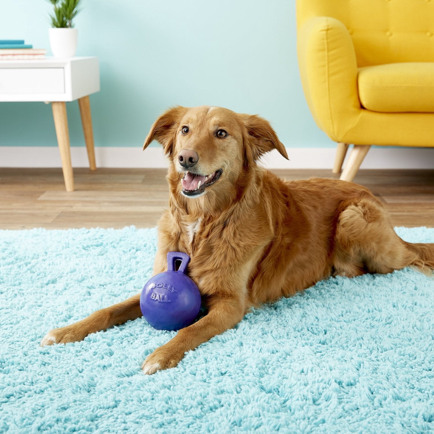 Jolly Pets Tug-N-Toss 6 inch Purple Rubber Ball with Handle Chew Toy for Dogs