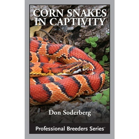 Corn Shape - Corn Snakes in Captivity - eBook