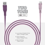 Liquipel Powertek Two Tone USB-A to USB-C - Purple