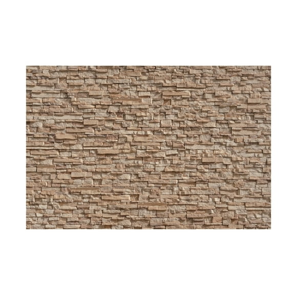 Trademark Fine Art Pictufy Studio III Texture 50 Canvas Wall Art