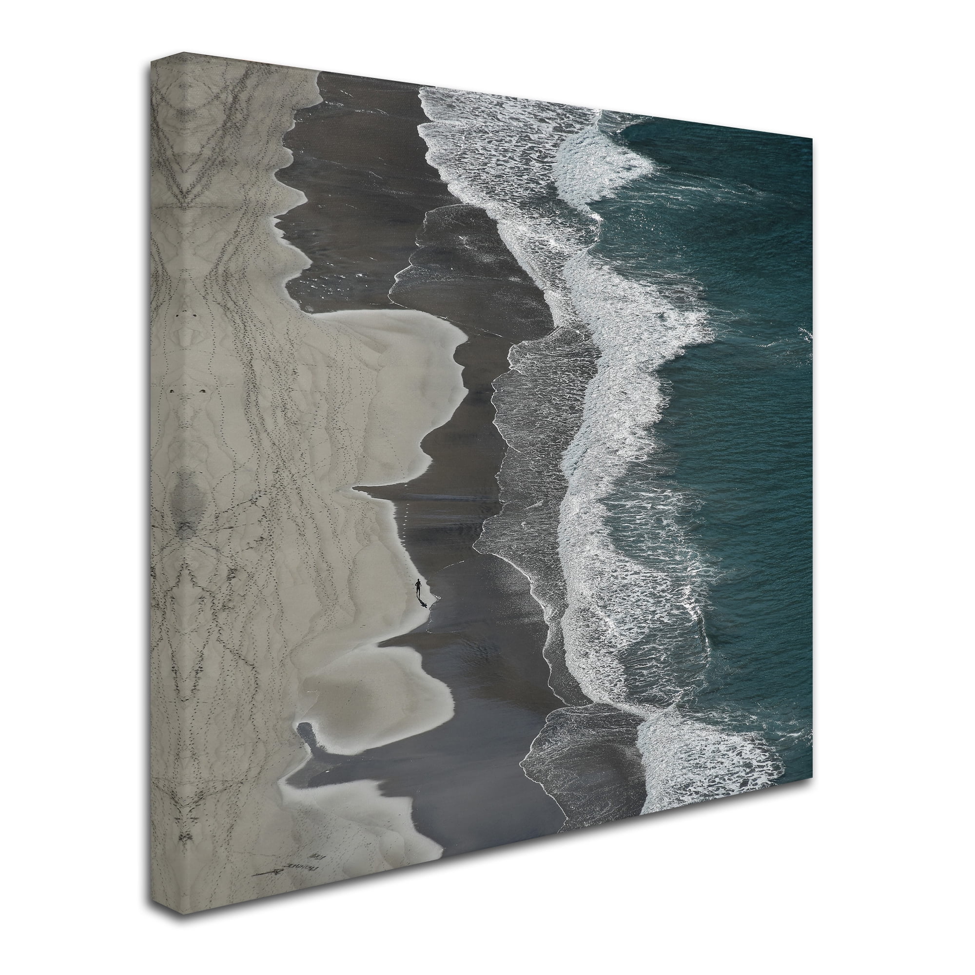 Trademark Fine Art 'Running Waves' Canvas Art by Lex Molenaar