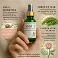 thumbnail image 3 of Nature Skin Shop Snail and Green Caviar Repair Serum Hydrating Facial Treatment for Fine Lines and Texture Smoothing 1 ounce, 3 of 7