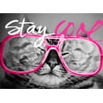 thumbnail image 2 of SD Graphics Studio 32x25 Black Ornate Wood Framed with Double Matting Museum Art Print Titled - Stay Cool Cat, 2 of 4