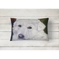 thumbnail image 2 of Carolines Treasures 7418PW1216 Great Pyrenees Contemplation Canvas Fabric Decorative Pillow, 12H x16W, multicolor, 2 of 3
