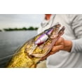 thumbnail image 2 of Berkley Flicker Shad Jointed Fishing Lure, Firetail Chrome Candy, 1/5 oz, 2 of 6