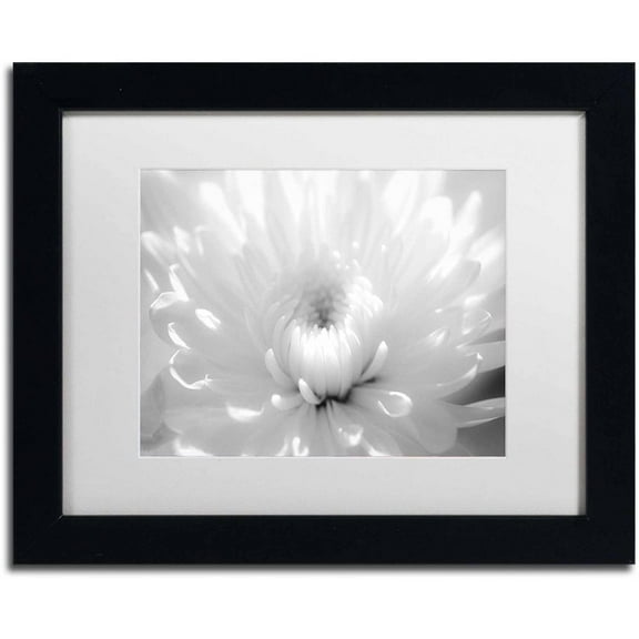 Trademark Fine Art 'Infrared Flower 2' Canvas Art by PIPA Fine Art, White Matte, Black Frame