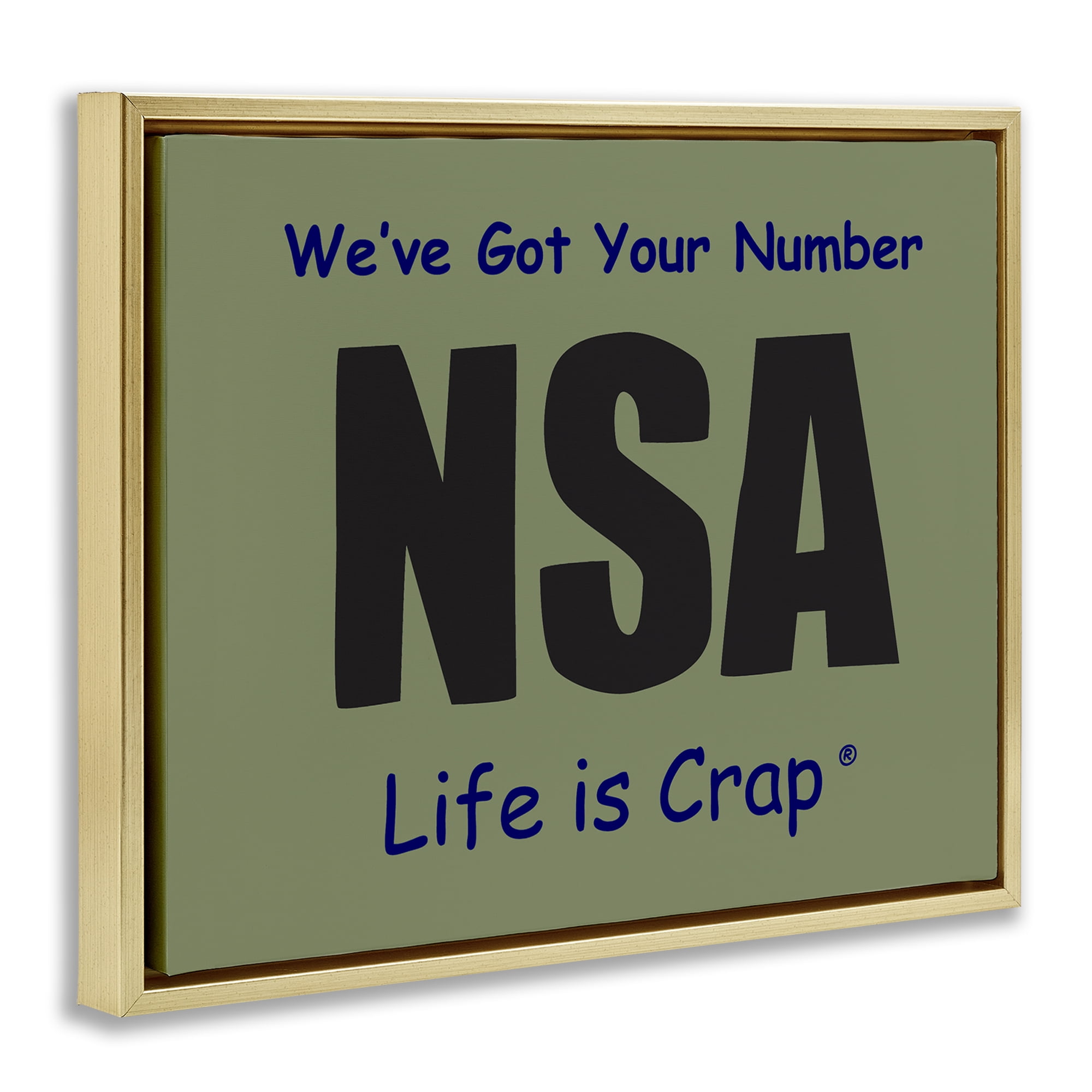 Stupell Industries Got Your Number NSA Novelty & Humor Painting Gold Floater Framed Canvas Art Print Wall Art, 21 x 17
