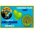 thumbnail image 2 of Retrolabel 18x13 White Modern Wood Framed Museum Art Print Titled - Jones-Peacock Tasmanian Pears, 2 of 4
