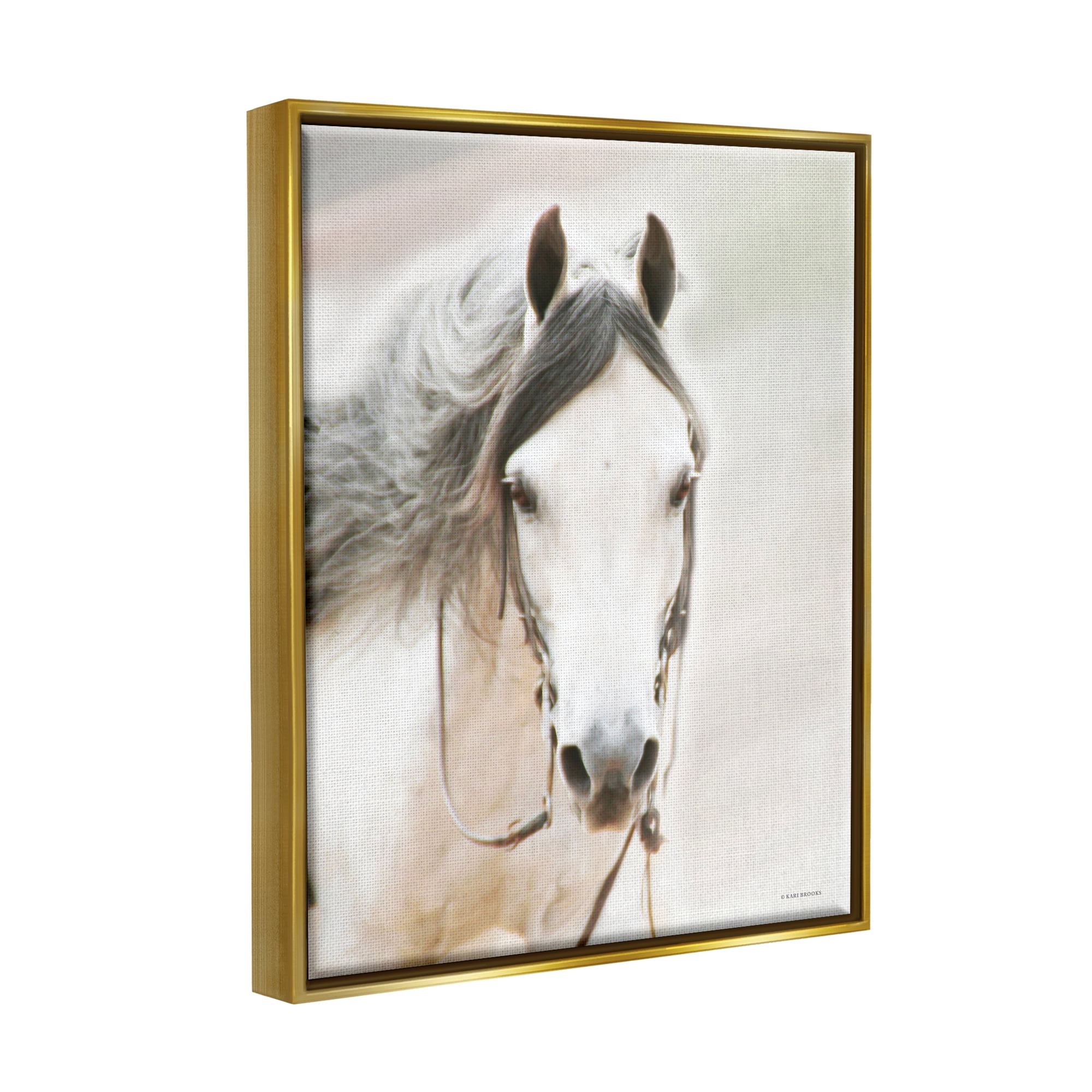 Stupell Industries White Horse Portrait Animals & Insects Photography Gold Floater Framed Art Print Wall Art, 17 x 21