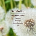 thumbnail image 4 of Mrs. Meyer’s Clean Day Multi-Surface Everyday Cleaner, Dandelion Scent, 473mL Bottle, 4 of 6