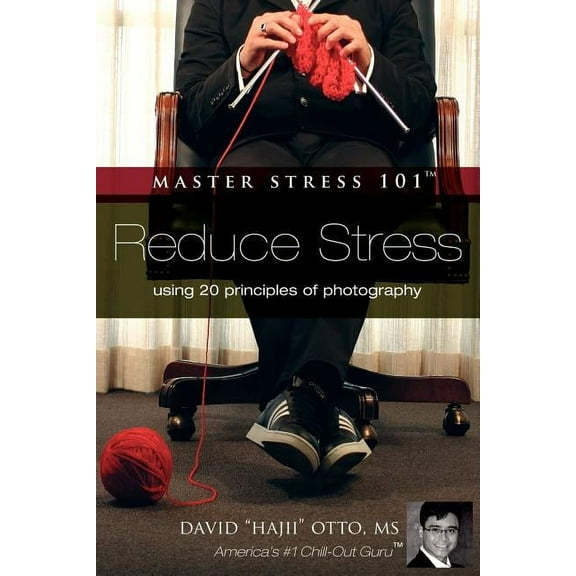 Master Stress 101 (Paperback)