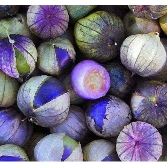 Purple Tomatillo Seeds for Growing | 100  Seeds | Make Salsa | Made in USA, Ships from Iowa