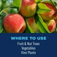 thumbnail image 6 of BioAdvanced Fruit & Vegetable 3n1 Solution 32oz Concentrate, Kills Listed Insects: Aphids, Caterpillars, Mites, Beet Armyworms, Beetles and More! Controls; Black Spot, Powdery Mildew, Rust and More!, 6 of 7