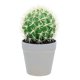 thumbnail image 1 of Cactus de escritorio artificial, bonsái, cactus falsos, plantas en maceta, decoración, 1 of 6