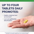 thumbnail image 3 of Metagenics CandiBactin-BR - Concentrated Berberine for Intestinal Support* - with Berberine, Oregon Grape & Coptis Root Extract - Gut Health Supplements* - Gluten-Free - Vegetarian - 90 Tablets, 3 of 8