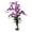 MultiColor, variant on Dendrobium Orchid w/Vase Arrangement