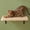 Wood Shelf-Single Shelf (1 Piece), variant on Cat Floating Wall Shelf With Mat  9.7x16.6 Inch Large 1 Thick Wood Window Perches Hanging Shelves Mounted Beds For Sleeping Playing Climbing Support To 30 Lbs