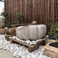 thumbnail image 3 of 38LBS Large White River Rocks 2-3 Inch - Natural Polished Pebbles for Landscaping, Garden Decor, Aquariums, Decorative Stones for Pathways, Planters, 3 of 10