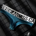 thumbnail image 6 of Bigersell Ladies Underwear Panties Clearance High Waist Underwear Women Cheeky Panty Style P-353 Nylon Brief Panties Lace Thong Briefs Mid Waist Women Cheeky Panties Blue M, 6 of 8