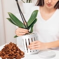 thumbnail image 5 of EFISPSS 6" Ceramic Plant pot with Vertical Flutes–Clean White，Orchid Pots with hole and drainage Tray, 5 of 6