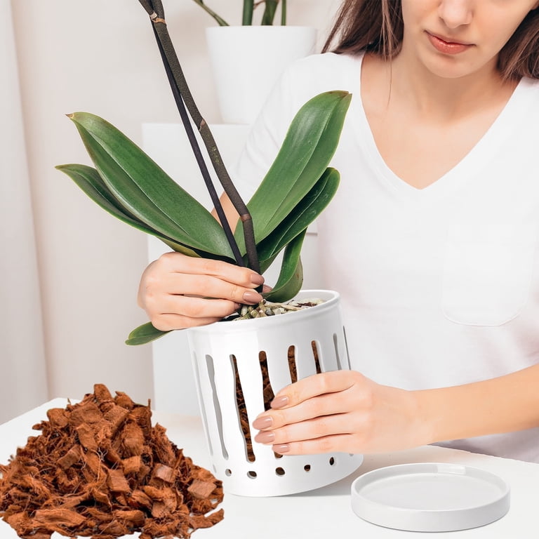 Buymax 6" Ceramic Orchid Pot with Drainage Tray, White photo 2
