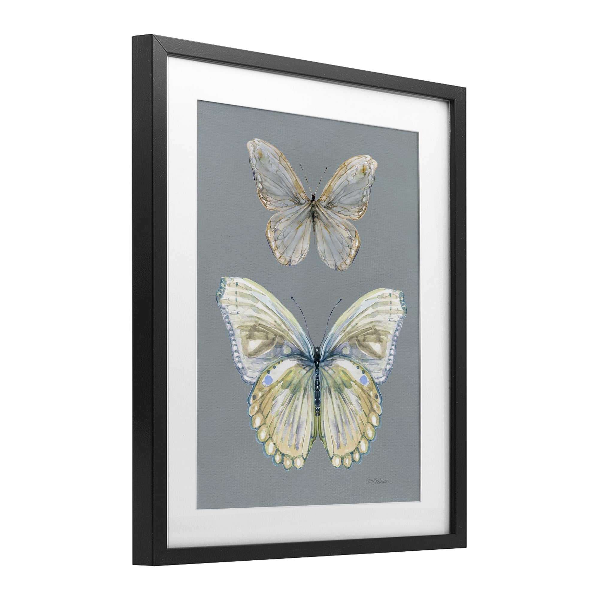 Stupell Industries Butterfly Pair Study Black Framed Print Under Glass, design by Carol Robinson