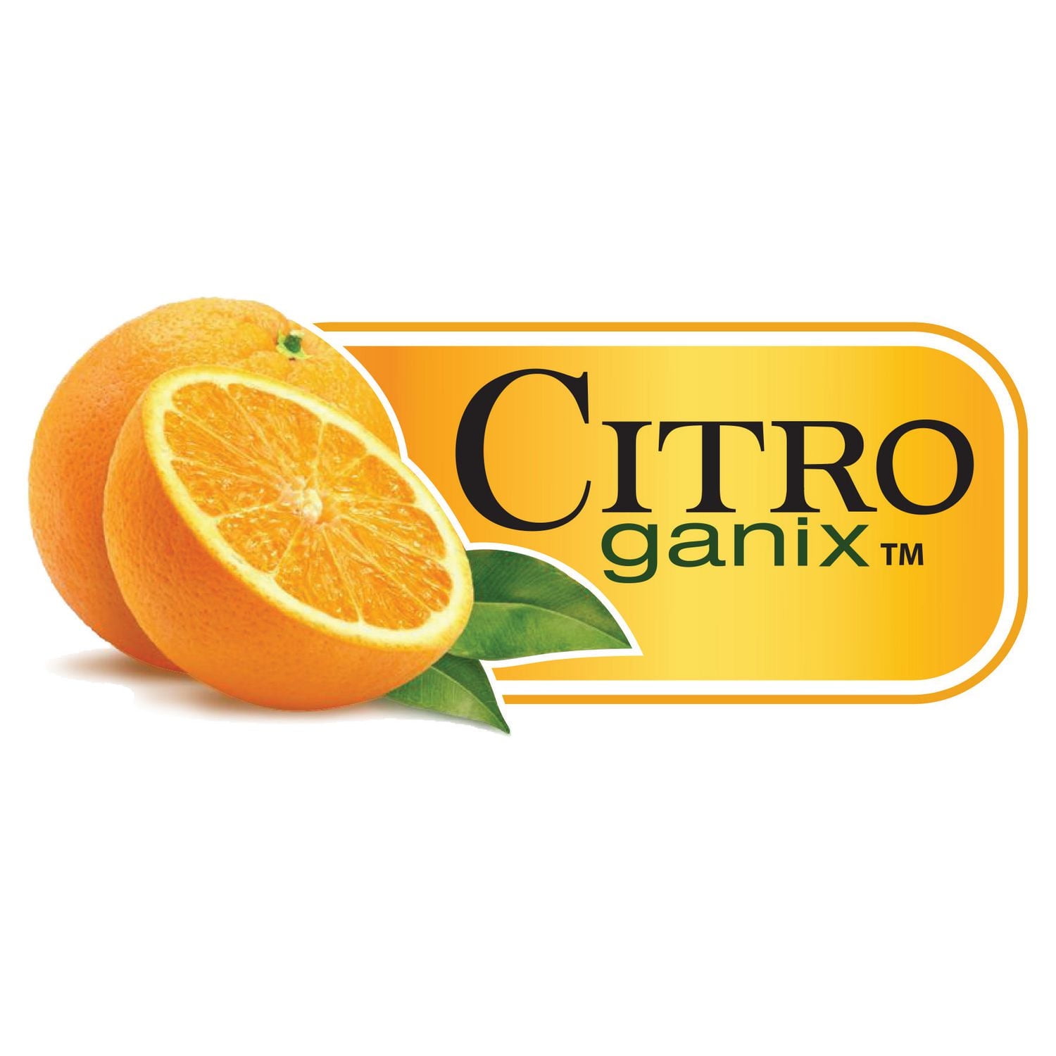 Nuby Fluoride-Free with Citroganix Baby Tooth & Gum Cleaner with Gum Massager, All natural