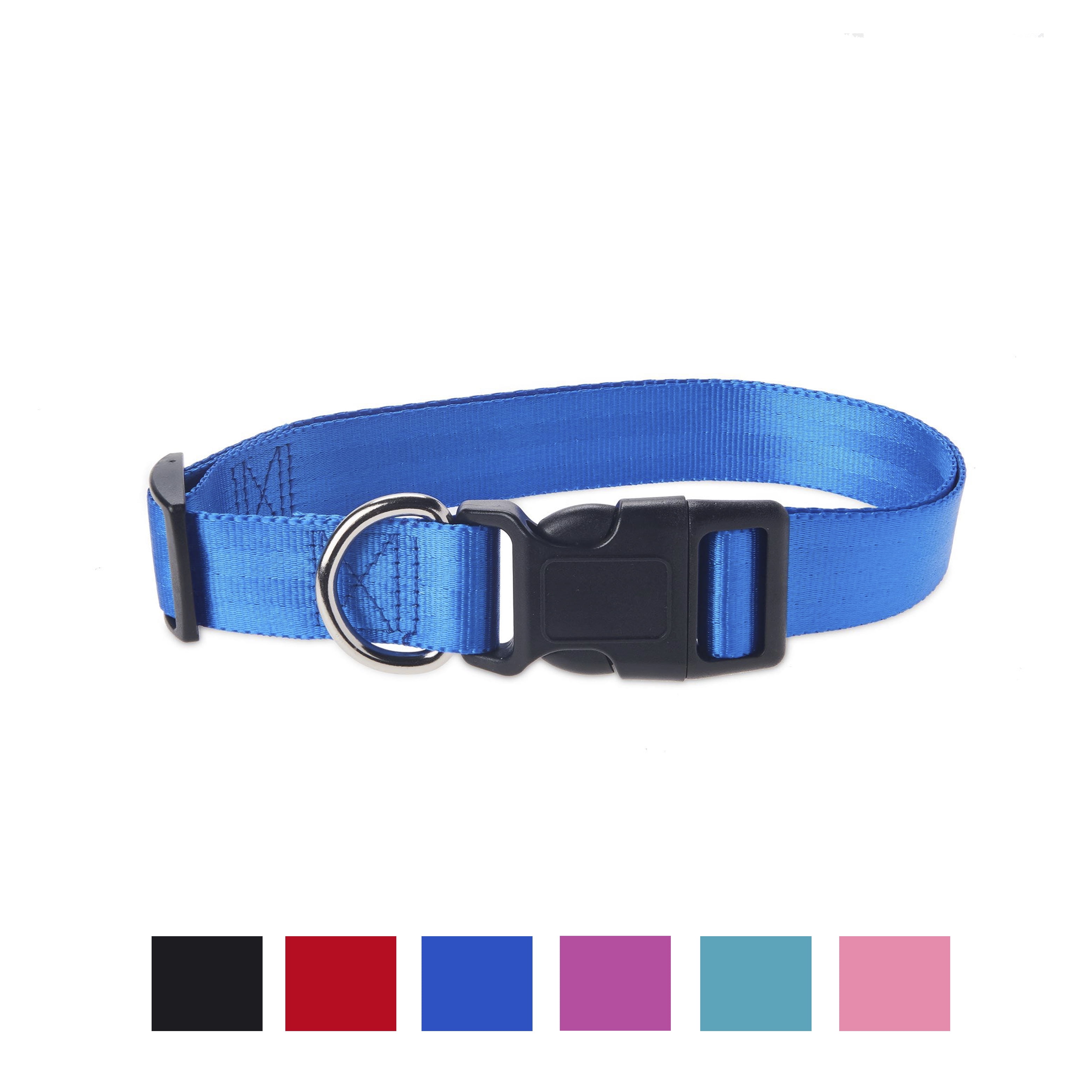 Vibrant Life Solid Nylon Dog Collar, Blue, Large