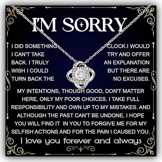I'm Sorry Necklace For Her with Message Card and Gift Box, Forgive Me Gifts For Her, I'm Sorry For Hurting You Neckace, Apologize Gift For Wife Girlfriend Soulmate
