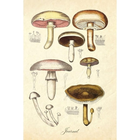 Antique Metaphysical Journal : Vintage Antique Mushroom Botanical Illustration 120 Blank Lined 6x9 College Ruled Pages ()