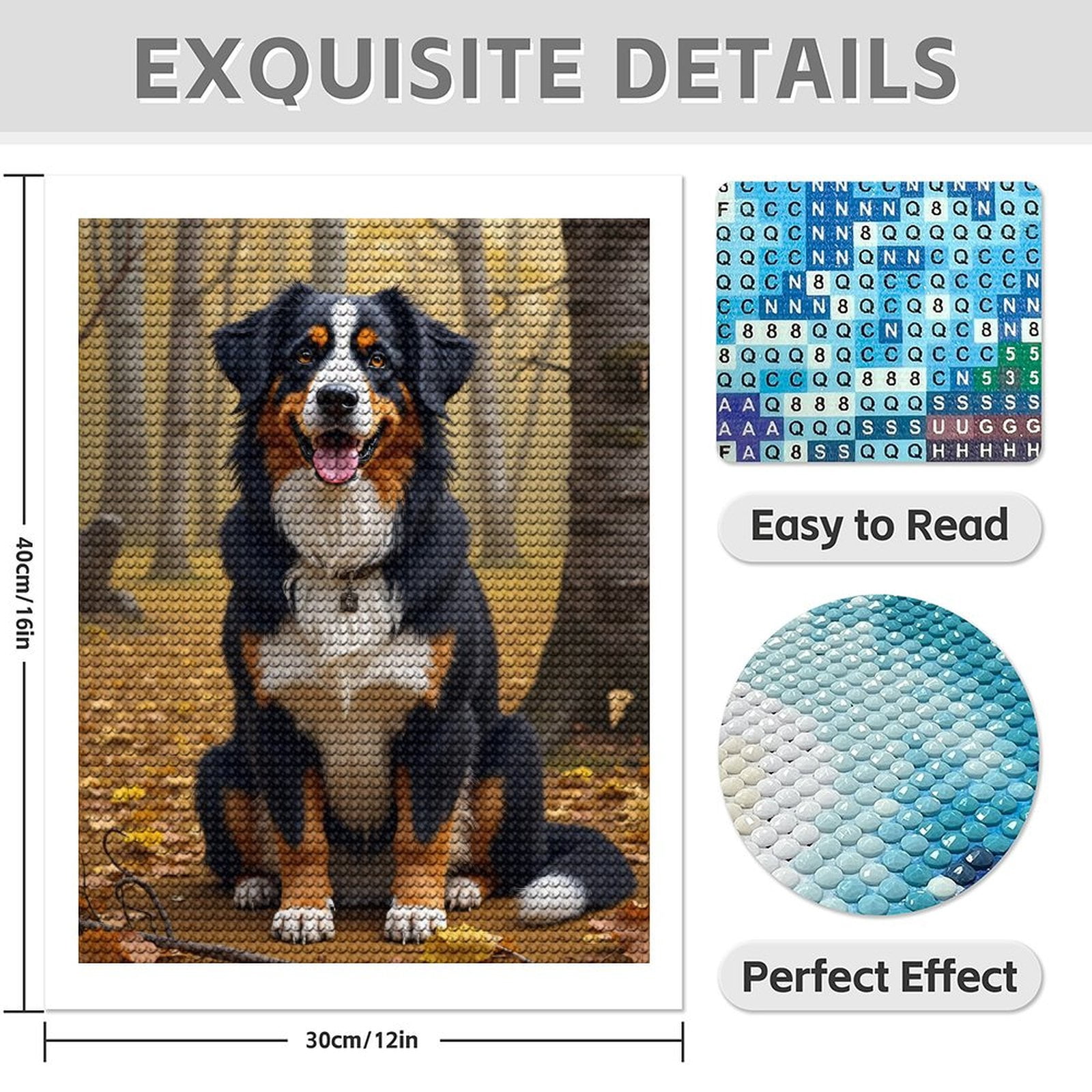 Diamond Art Kit for Adults, Modern Bernese Print No.68 Diamond Painting for Adults Beginners, 5D DIY Diamond Art Painting Kits, Colorful Diamond Painting Craft for Home Decor 12x16