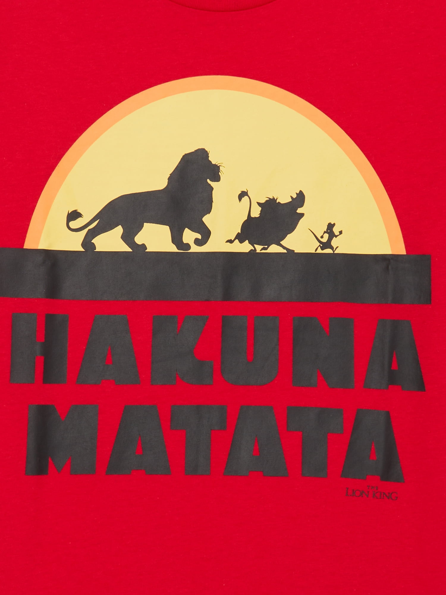 Disney Boys Hakuna Matata Sleeve Short T-Shirt Casual Sizes Tee, Graphic 4-18