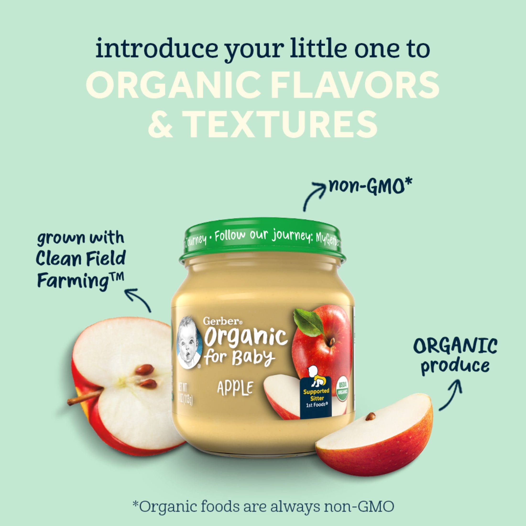 (Pack of 10) Gerber 2nd Foods Organic Apple Wild Blueberry Baby Food, 4 oz Jars