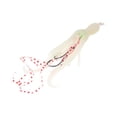thumbnail image 4 of Señuelo de pesca de calamar para pescadores de lago, principiantes, hombres y mujeres, accesorio, señuelo artificial. Blanco luminoso, 4 of 8
