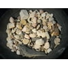 Educational Bulk Fossil Mix Variety pack - 1 pound
