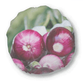 thumbnail image 1 of Picture Fresh Temperate Vageable Onion Round Throw Pillow Home Decoration Cushion, 1 of 3