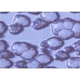 thumbnail image 1 of Ahgly Company Machine Washable Indoor Rectangle Transitional Slate Blue Area Rugs, 3' x 5', 1 of 7