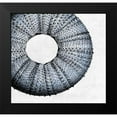 thumbnail image 2 of Lewis, Sheldon 21x20 Black Modern Framed Museum Art Print Titled - Urchin Shell 1, 2 of 5